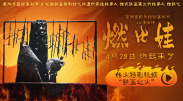 aaa一级黄色片